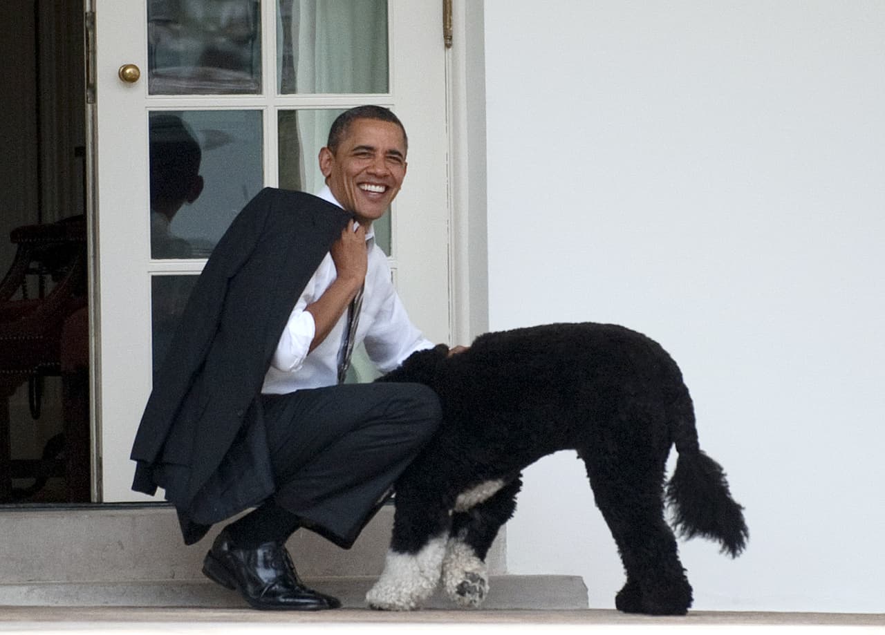 Trump es el primer presidente sin mascota en casi 150 años