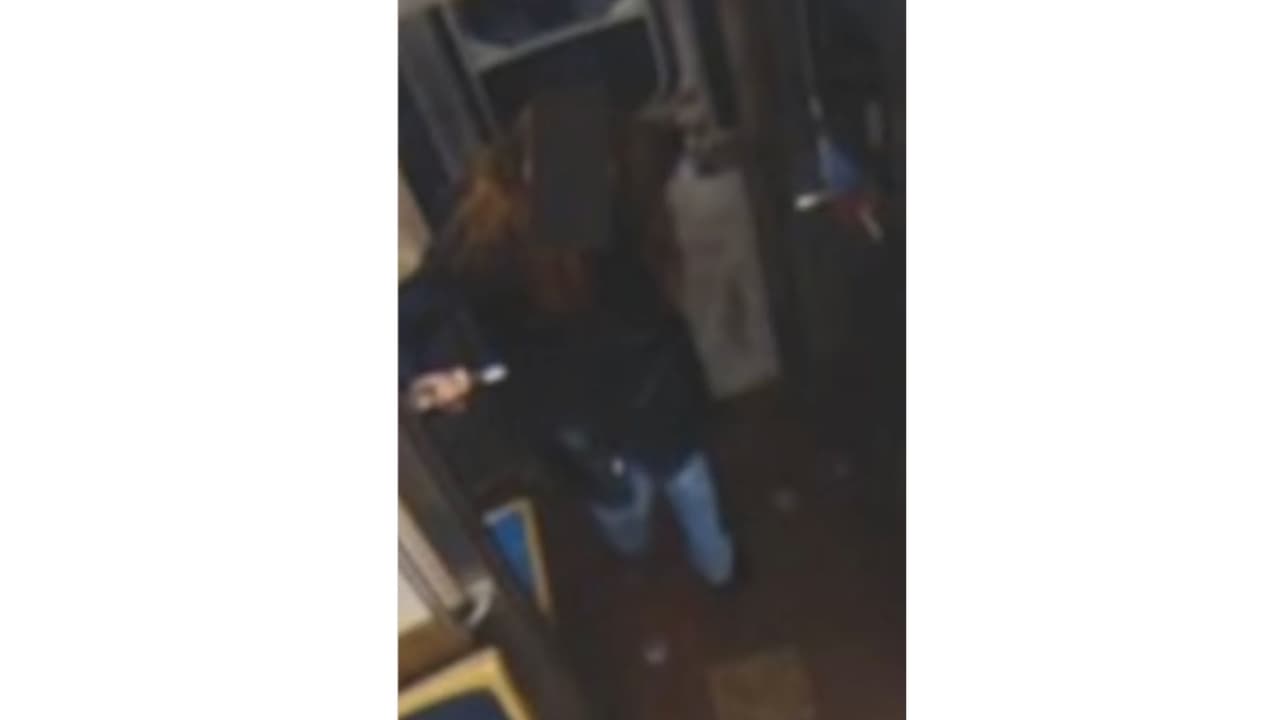 Mientras tanto, en esta imagen es de la víctima intentando escapar hacia la parte delantera del tren, corriendo desesperadamente.
<br>“Este horrendo ataque
<b>no fue solo una agresión bárbara contra una mujer inocente </b>que viajaba en tren,
<b>sino un acto de terrorismo que atenta contra la esencia misma de nuestro estilo de vida estadounidense</b>”, defendió el fiscal.