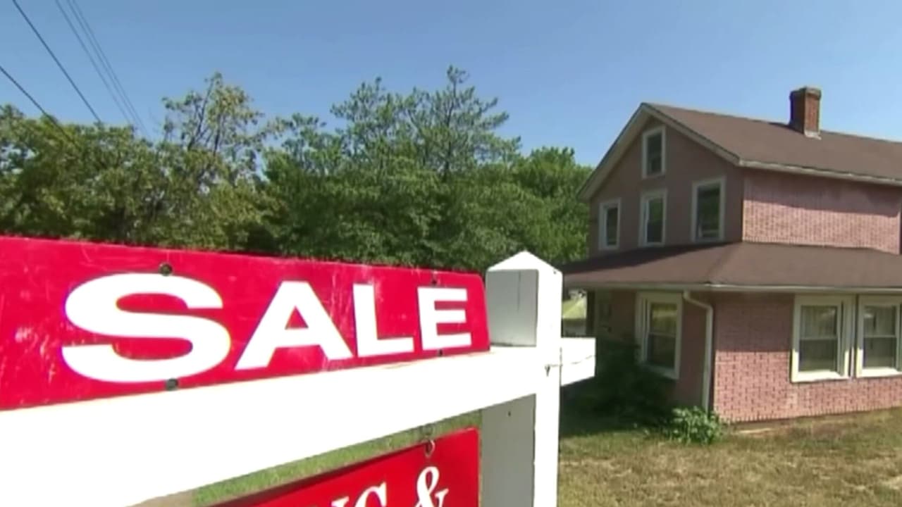 “¿Para dónde nos vamos?”: Concejo de la ciudad de Los Ángeles pone fin a la moratoria de desalojos