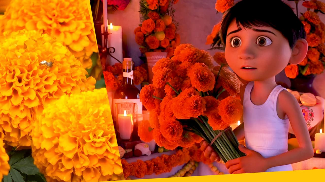 La flor de cempasúchil y su hermosa historia de amor: así se relaciona con el Día de Muertos