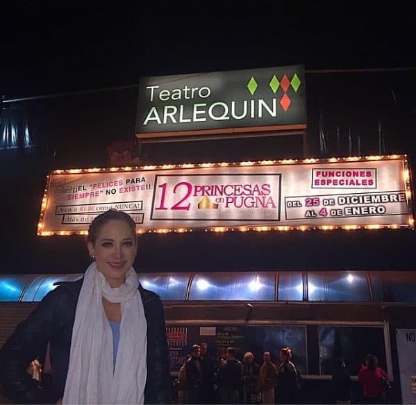 Pero no se retiró, pues construyó su carrera en teatro, sobre todo en musicales.