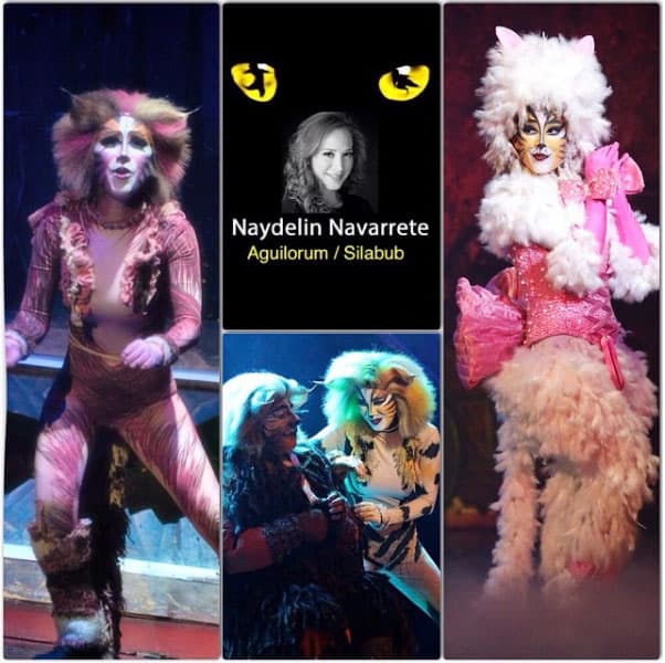 Uno de los proyectos más importantes en los que ha participado es "Cats".