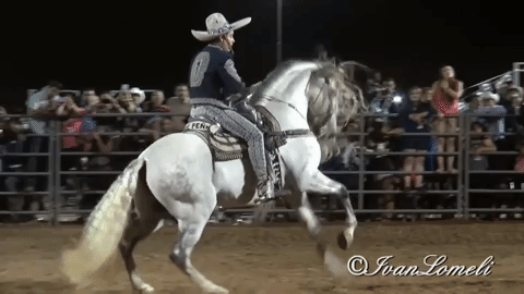 Ezequiel Peña inició como cantante de banda, pero el amor a la música ranchera pudo más y desde muy joven comenzó a adquirir caballos de diversas razas y de los llamados de alta escuela; primero como crianza en su rancho de California y luego como parte de su espectáculo.