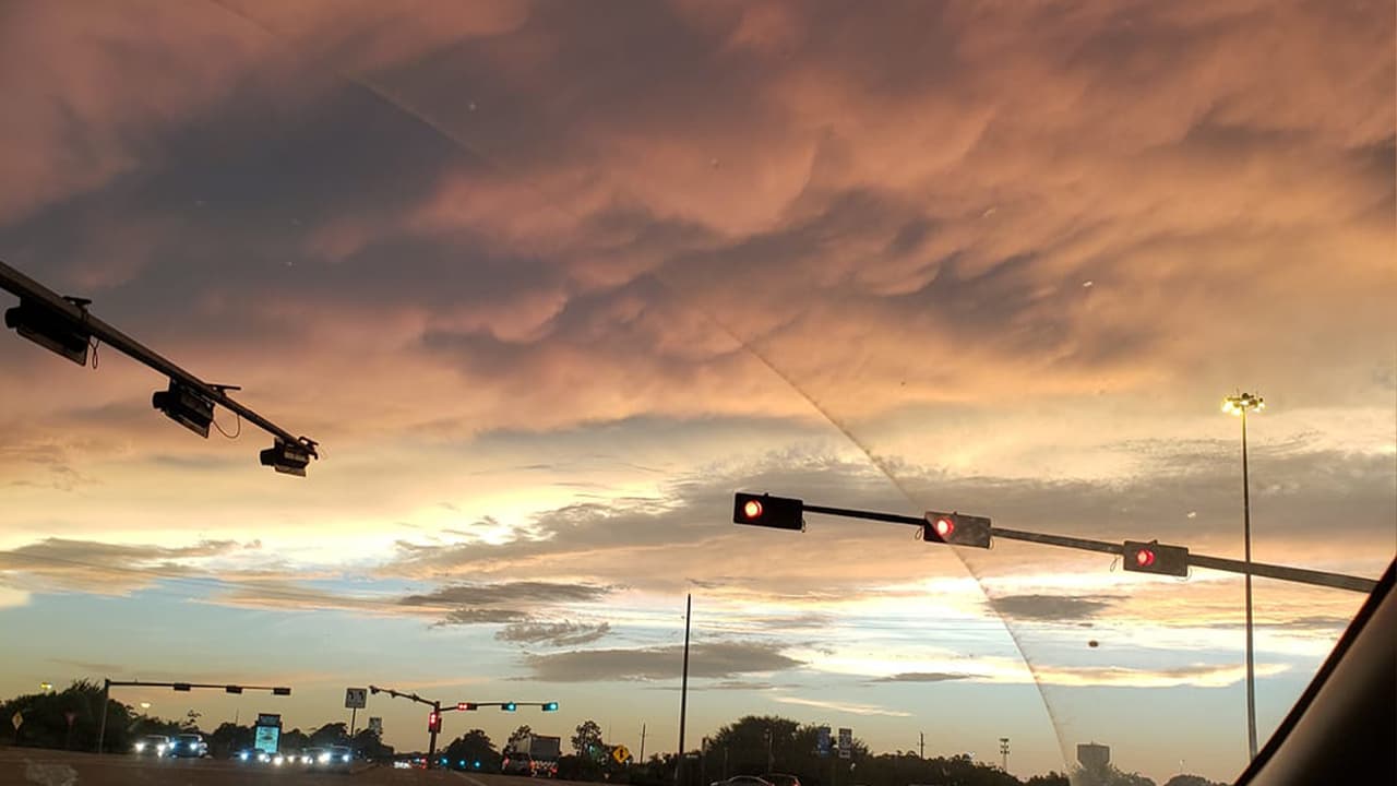 Grecia Gonzalez-Moreno