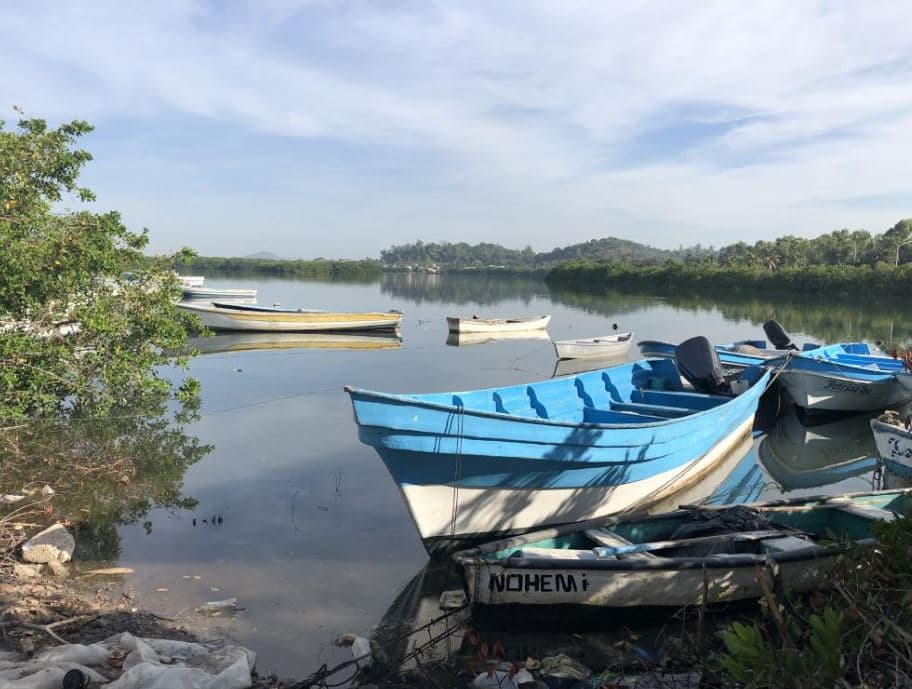 Droga a tierra, el papel de los pescadores mexicanos