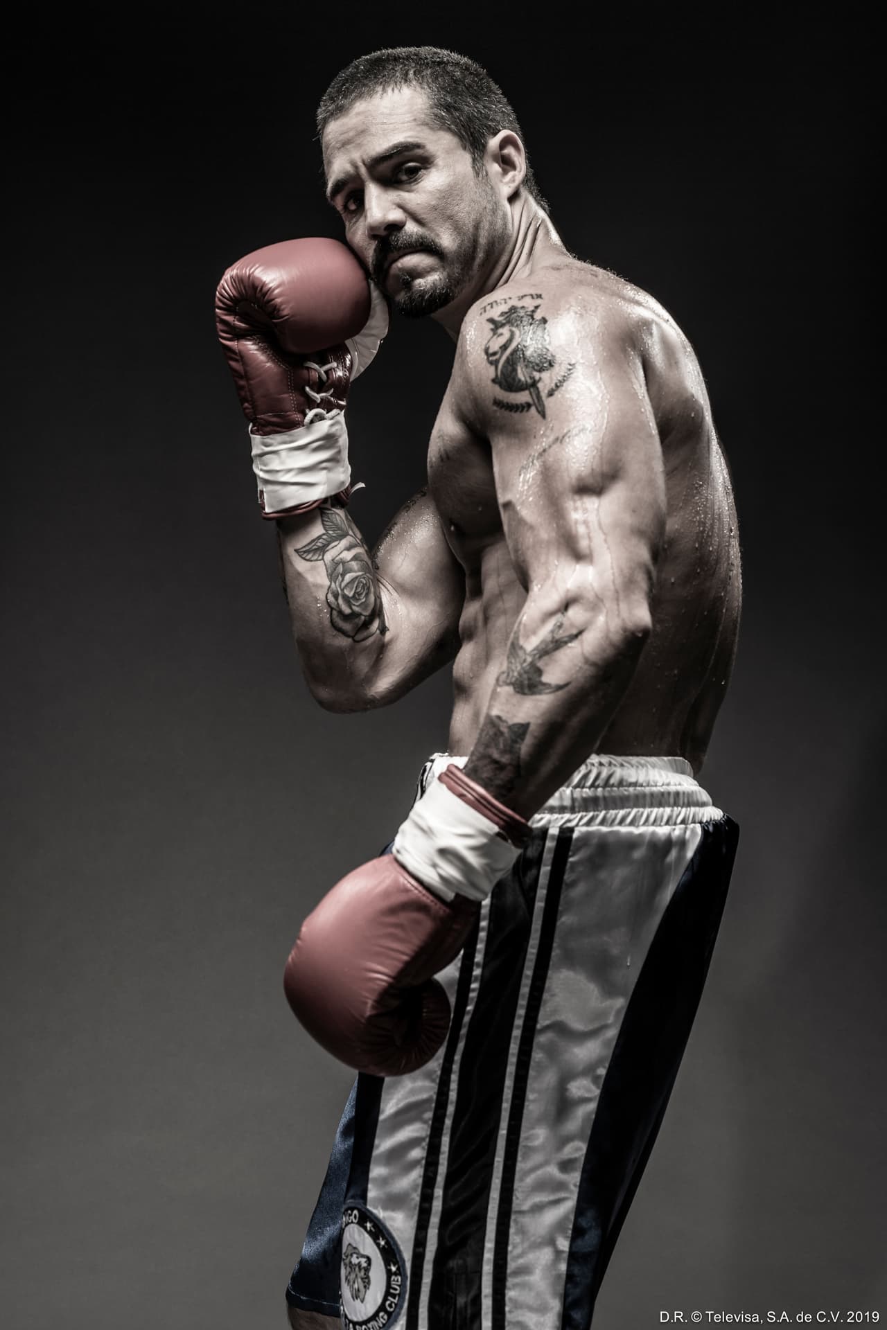 <b><a href="https://www.univision.com/temas/jose-ron" target="_blank">José Ron</a></b> dará vida a
<b> Juan José Ramírez</b>,
<b> <a href="https://www.univision.com/shows/ringo" target="_blank">Ringo</a></b>,
<b> </b>un boxeador que tendrá que darle un vuelco a su vida luego de la muerte de su hermano, la posible pérdida de custodia de su hijo y el retiro de su título como boxeador.