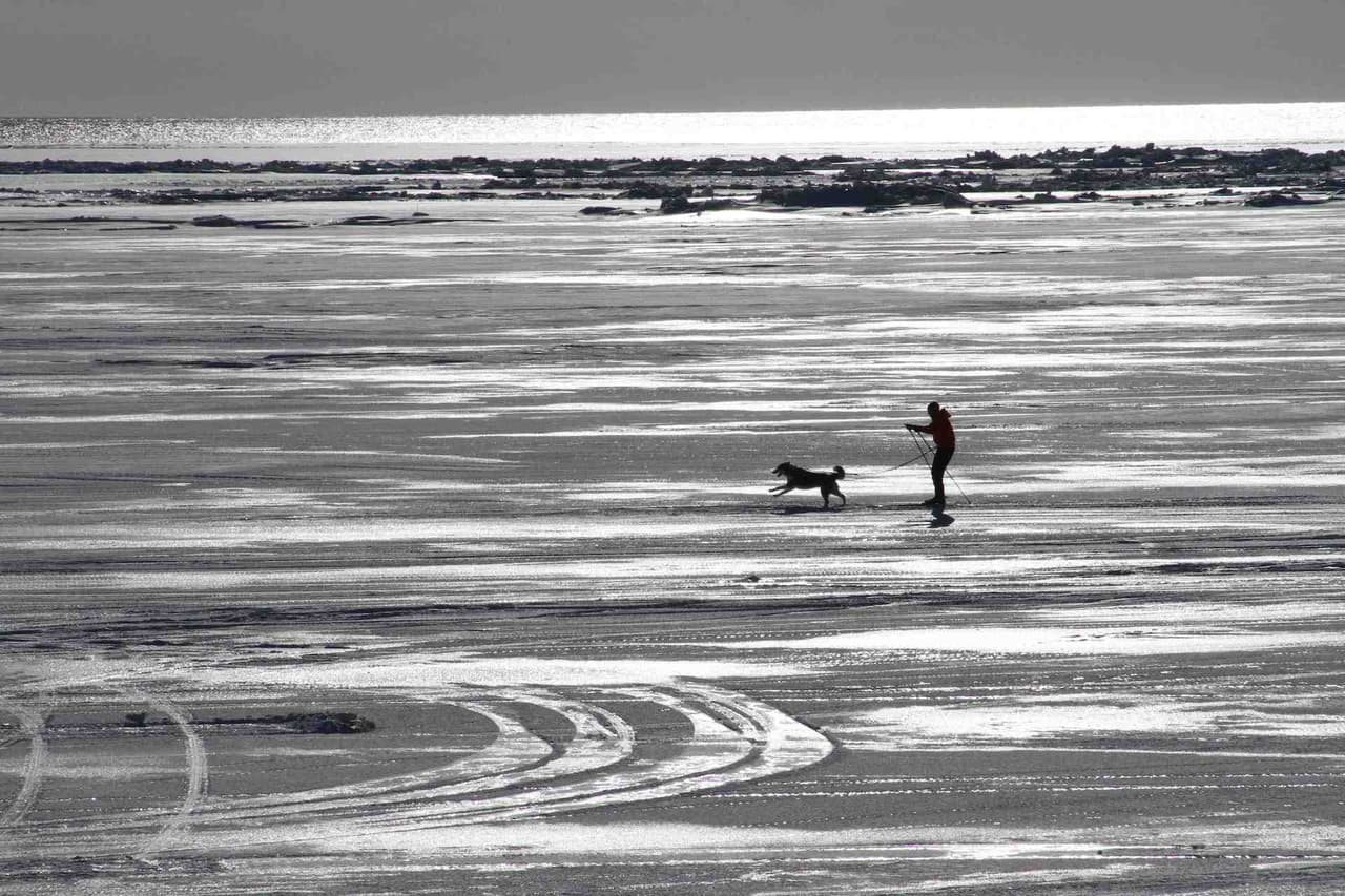 Mientras tanto, Alaska, que está más al norte que Chicago, cuenta con una temperatura por encima de la que tenemos hoy.