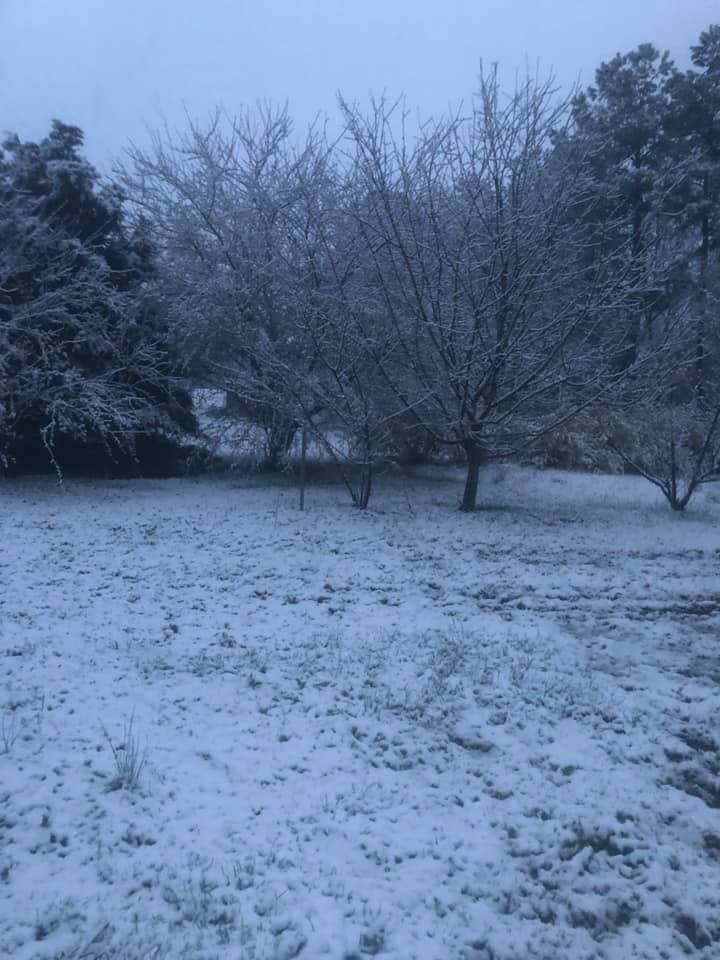 El mayor impacto de las nevadas fue pronosticado para el área Este de Carolina del Norte.