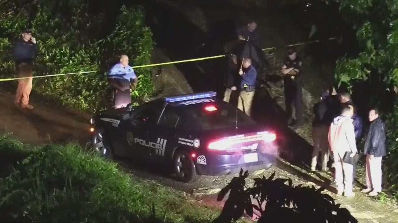 Identifican a víctimas de la masacre de Toa Alta