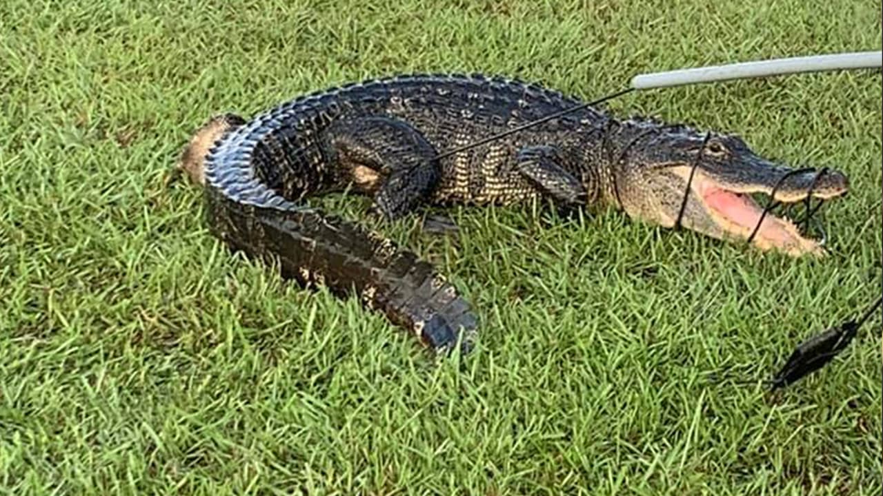 El director de la escuela notificó a las autoridades del hallazgo en el campus de la preparatoria el viernes 20 de septiembre.
