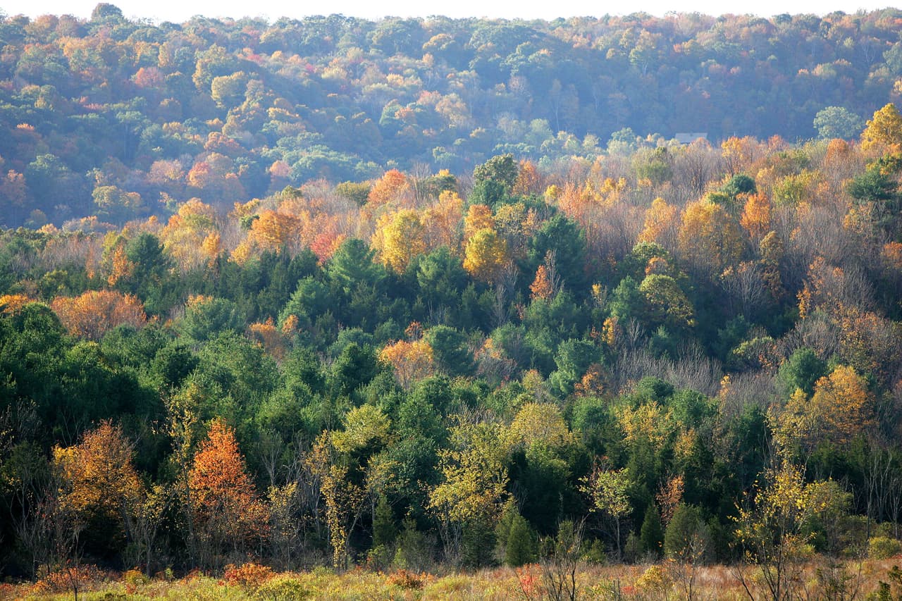 Aprovecha esta hermosa época para pasear por la ciudad y las afueras de Nueva York.