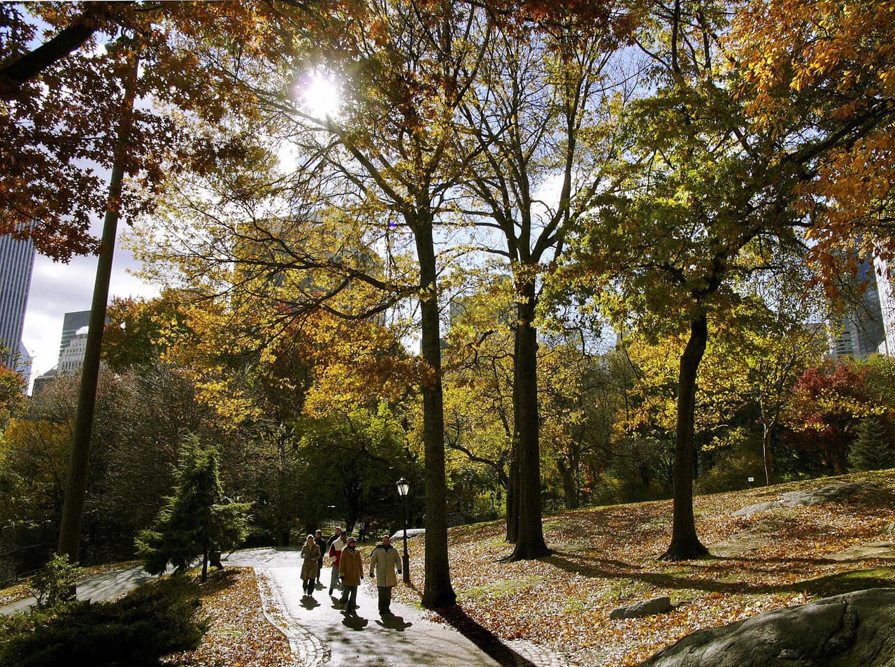 Aprovecha esta hermosa época para pasear por la ciudad y las afueras de Nueva York.