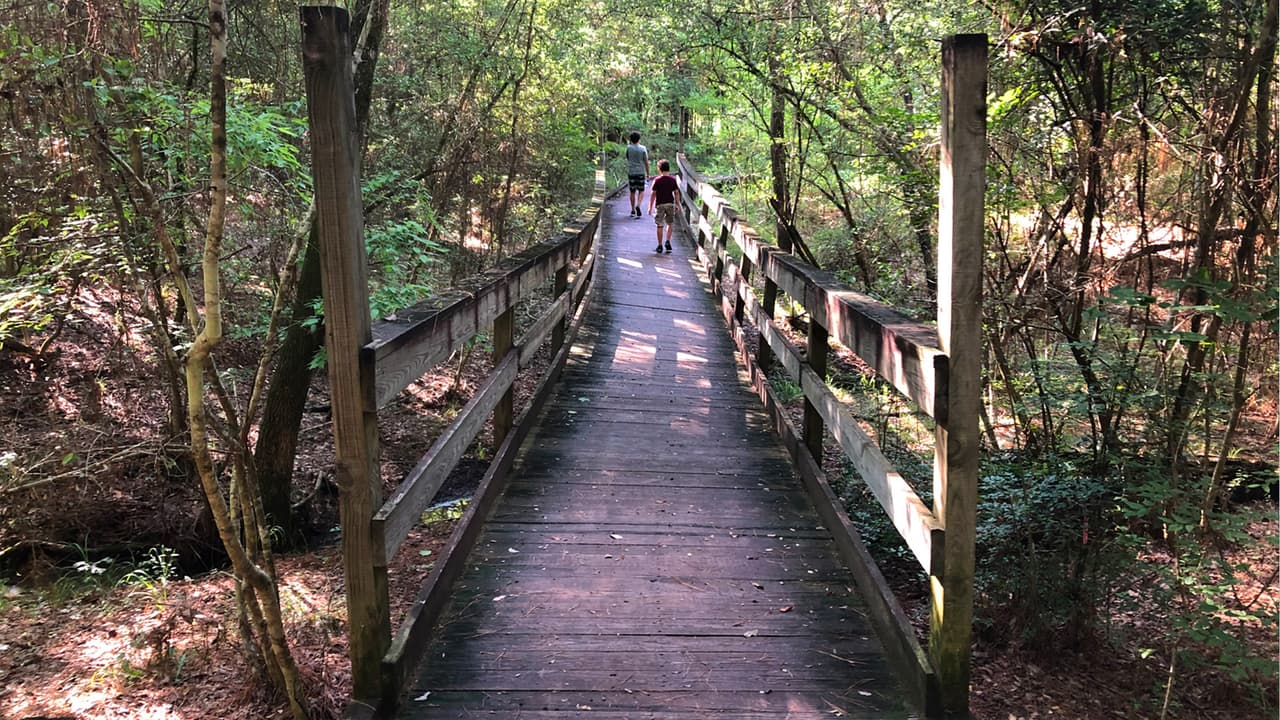 En la página de 
<a href="https://tpwd.texas.gov/spdest/parkinfo/maps/gis/lake_livingston/" target="_blank">Parques y Vida Silvestre de Texas,</a> puedes hacer un recorrido virtual por su mapa para que puedas ir planificando los lugares que quieres conocer.