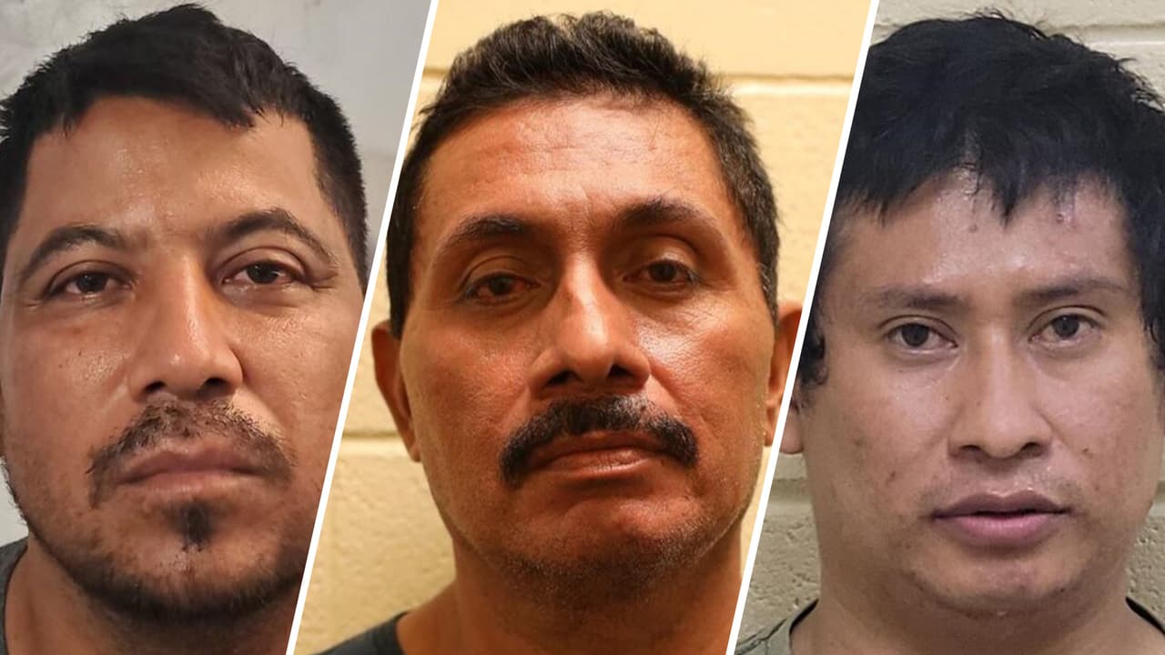 Estos seis inmigrantes regresaron al país por la frontera de Arizona, habían sido deportados tras cumplir sus condenas. Esto es lo que se sabe de sus delitos.