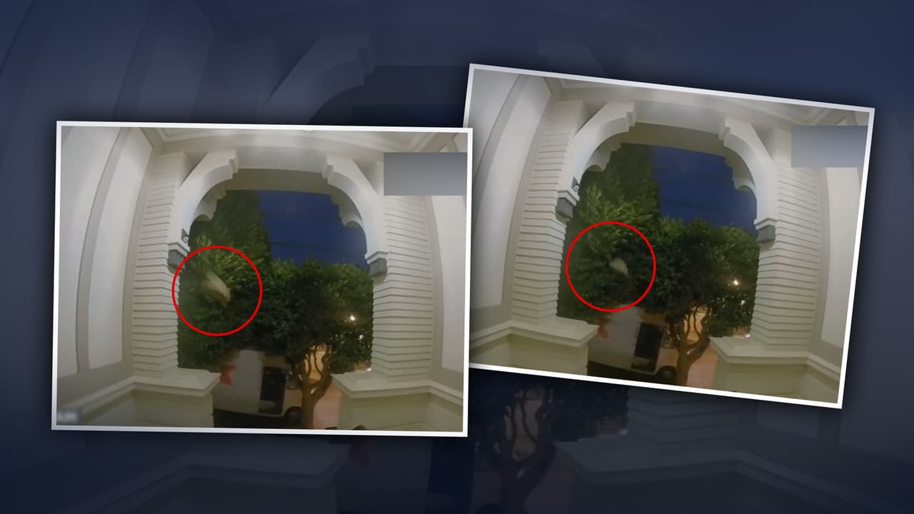 ¡Como Tom Brady! Repartidor de FedEx lanza un paquete a la entrada de una casa en San Francisco