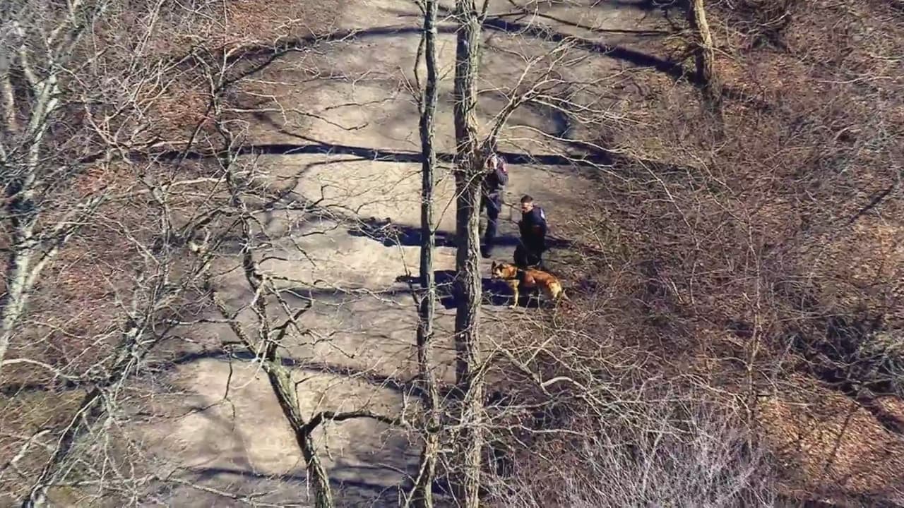 El viernes, al reanudar la búsqueda,
<b> se hallaron otros restos, en esta ocasión de una mujer</b>.
<br>