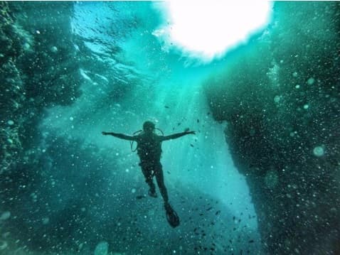 En noviembre de 2017 viajaron juntos a Baja California Sur (México) para bucear.