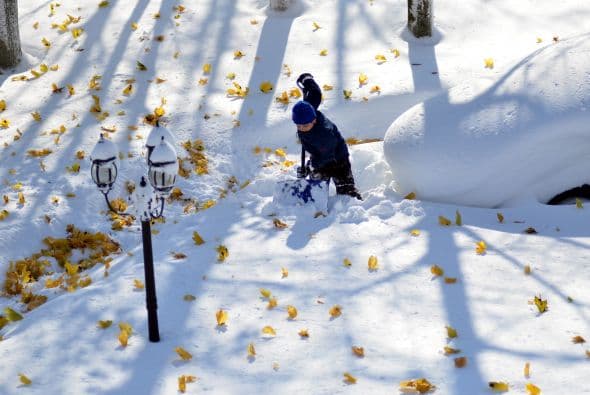 New Hampshire y Michigan han registrado un deceso cada uno.