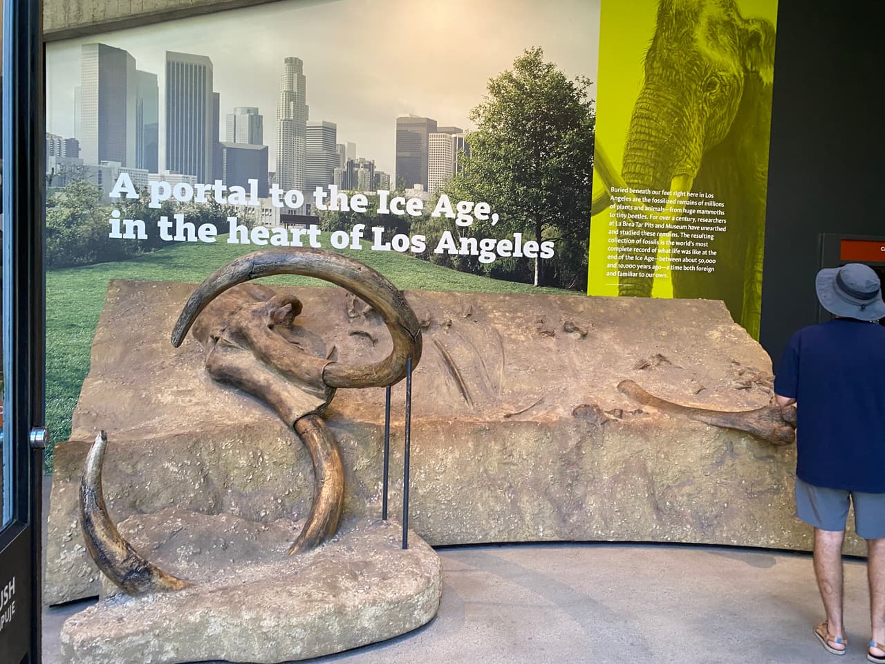 Esto es solo un pequeño adelanto de lo que será tu visita al museo arqueológico con excavaciones activas en medio de la ciudad.