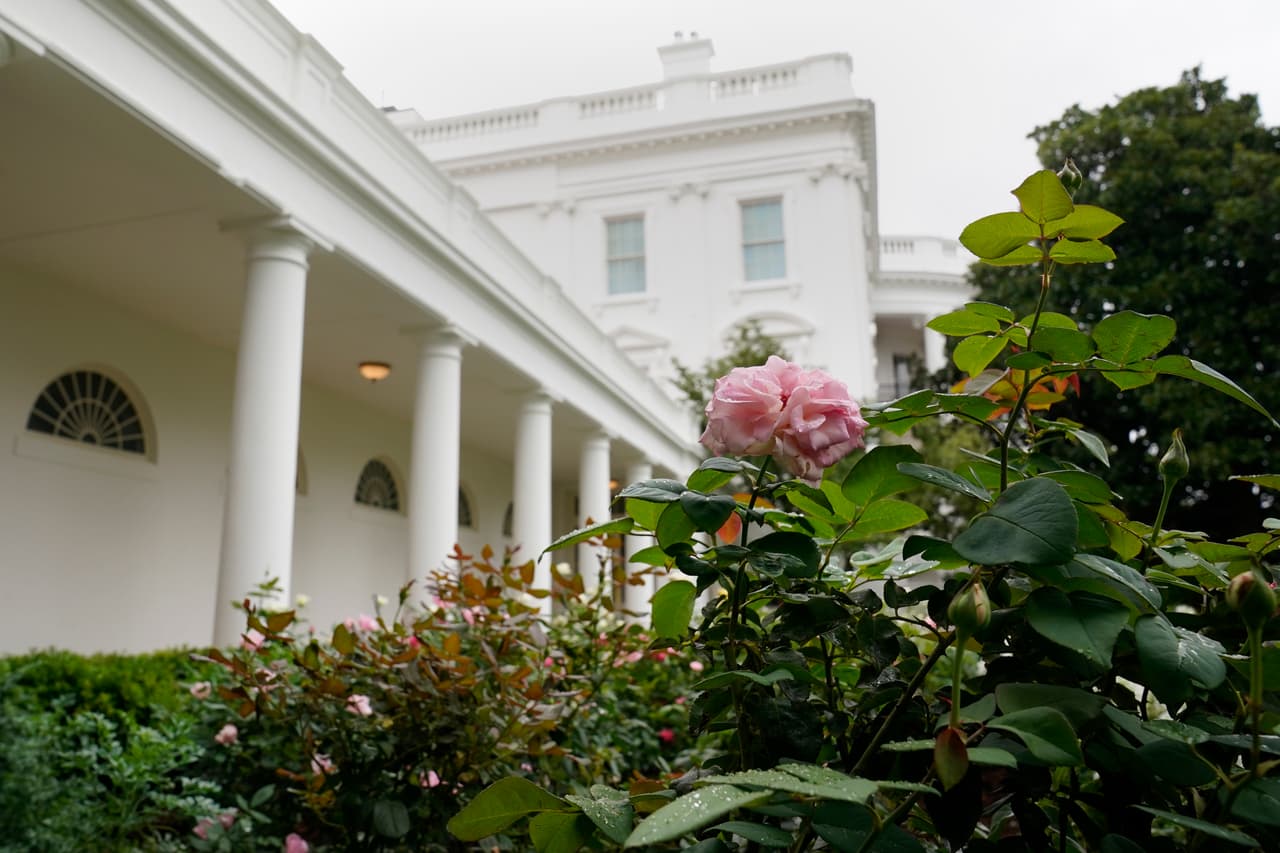 El Jardín de las Rosas fue encargado por el presidente John Kennedy en 1961 y fue diseñado por la horticultora y jardinera Rachel Lambert Mellon.