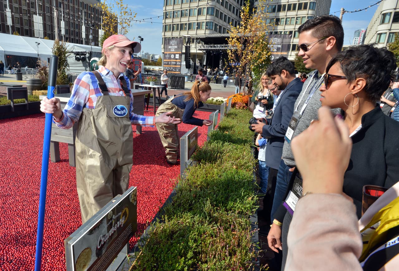 Un estudio del mercado de préstamos en línea, 
<a href="https://www.lendingtree.com/business/small/places-with-the-youngest-entrepreneurs/." target="_blank">LendingTree</a>, encontró que los fundadores de empresas más jóvenes se encuentran en 
<b>Nueva Orleans, Salt Lake City y Filadelfia</b>.