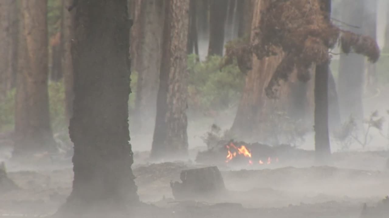 Incendio forestal destruyó 22 casas cerca de Carson City