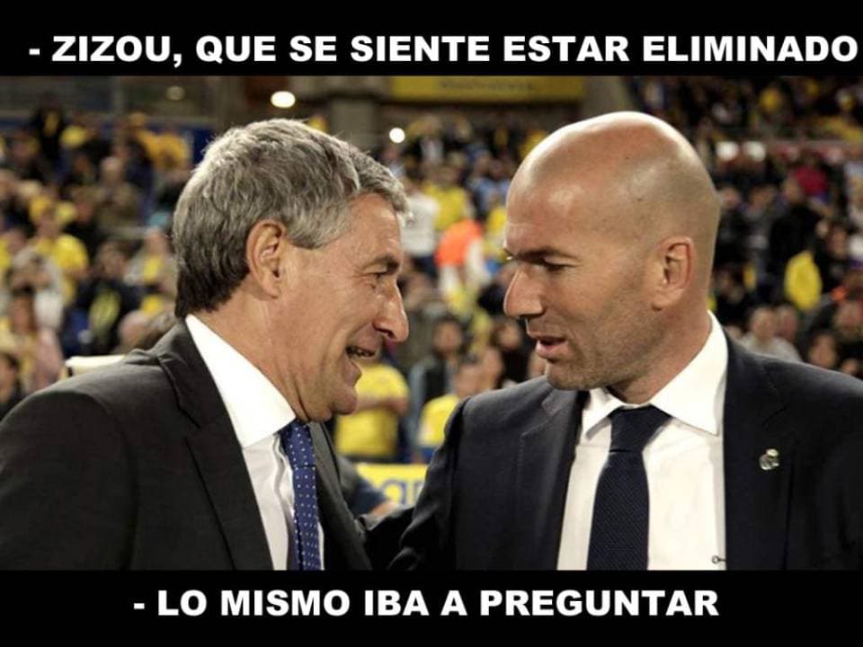 Los memes haciendo leña de los árboles caídos.