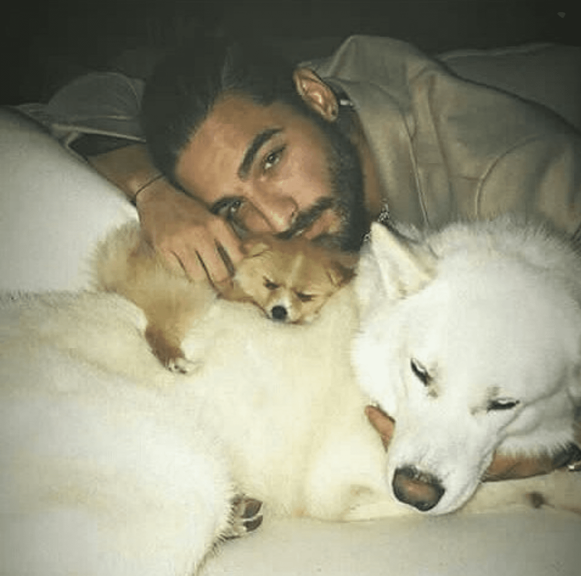 Aquí, de hecho, vemos a Maluma junto a 'Julieta' y sus pastores siberianos Bonnie y Clyde.