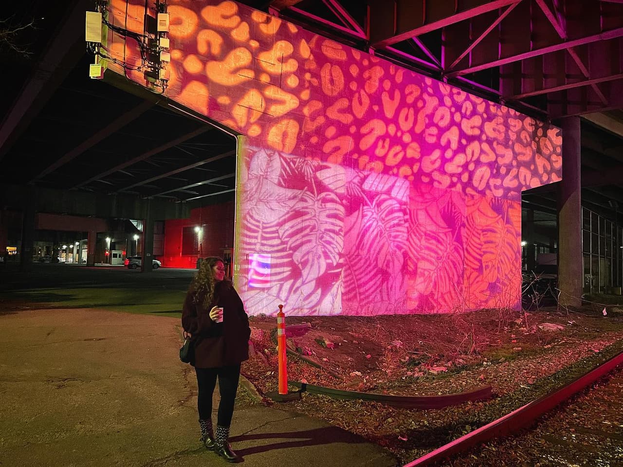<b><a href="https://heartbeatatl.com/" target="_blank">Heartbeat ATL (Hasta el 4 de marzo)</a></b>: Los visitantes del Centennial Yards están invitados a explorar una instalación de arte envolvente que ilumina 20 acres con bandas vibrantes de LED, incluidos corazones rojos pulsantes, mientras experimentan Heartbeat ATL. Proyectada en todo el espacio sobre obras de arte y puentes y edificios cercanos, la instalación rinde homenaje al marcador de milla cero de Atlanta y celebra el corazón de la ciudad que está experimentando una gran transformación.