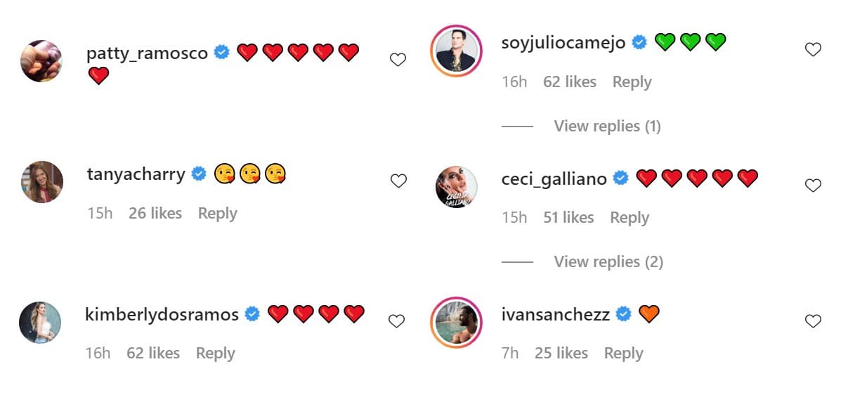 <b><a href="https://www.univision.com/famosos/hermana-de-julian-gil-defiende-la-apelacion-que-interpuso-el-actor-en-el-pleito-legal-por-la-custodia-de-su-hijo-fotos">Patty Ramosco</a></b>, hermana de Julián, y otros famosos también reaccionaron para compartir la felicidad de la pareja.
<br>