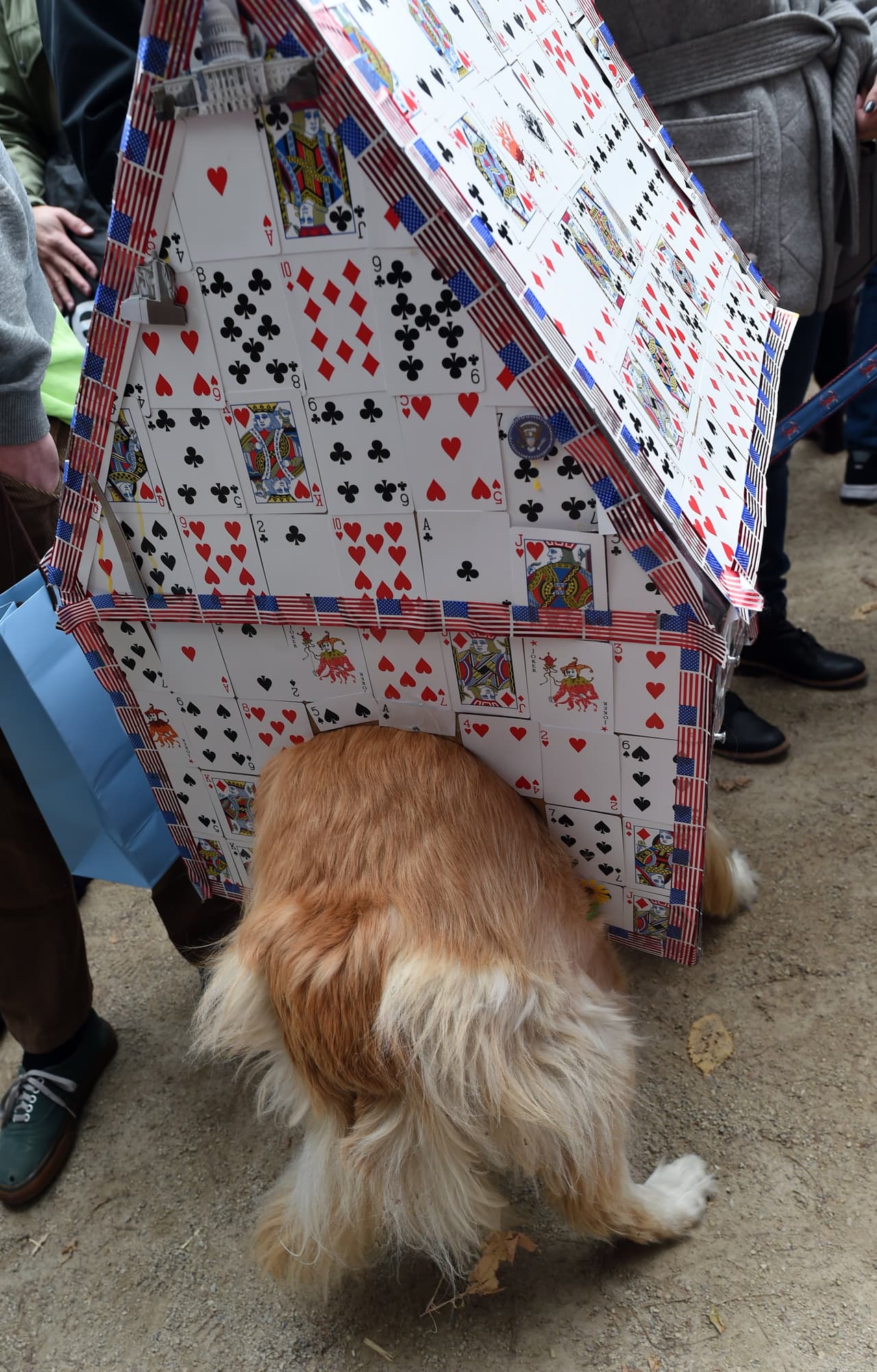 Mira todos los disfraces de las mascotas concursantes y sus dueños entre los que hubo todo tipo de dinosaurios, tal vez aprovechando el reciente estreno de la película 'Jurassic World', o también algunos inspirados en 'Volver al Futuro', además hubo cocodrilos, dragones, personajes de 'El Mago de Oz', 'Los Picapiedra' y hasta algunos perritos disfrazados de Donald Trump.