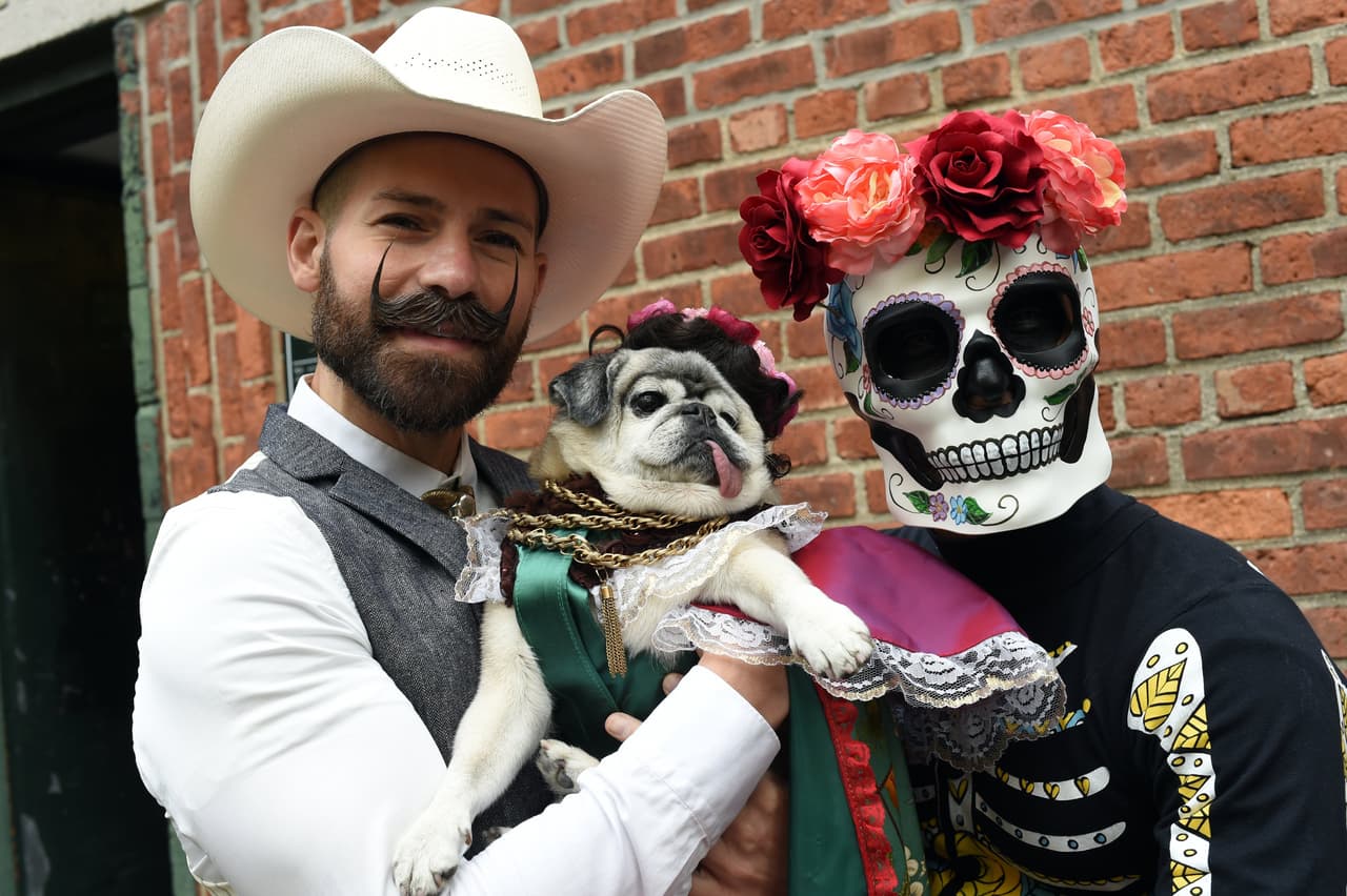 Hace unos días se llevó a cabo el 'Halloween Dog Parede' en Nueva York, en donde los perritos se disfrazaron junto con sus dueños y hasta Frida Kahlo estuvo presente.