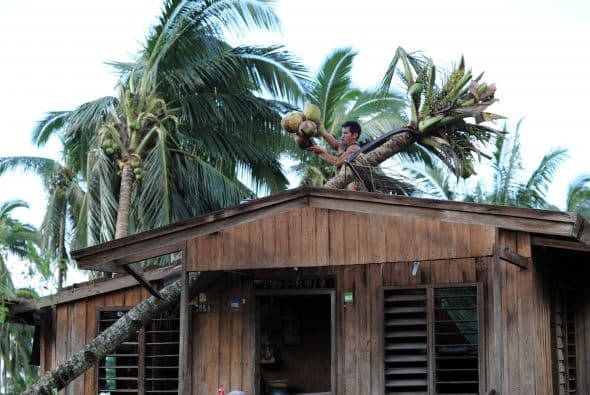 Al menos 253 personas murieron en los alrededores de los pueblos de Nuevo Bataan y Monkayo debido a deslizamientos de tierra, en tanto otros 21 habitantes perdieron la vida en otras partes de la meridional isla de Mindanao, informó el diario The Manila Times.