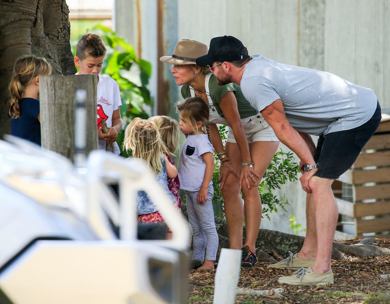 Y llegaron a un arbolito muy peculiar.