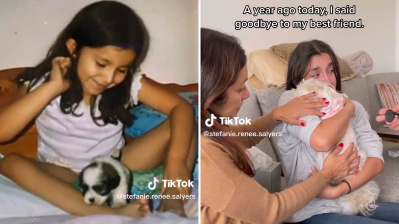 Chica conmemora un año de la muerte de su perrita con video en TikTok