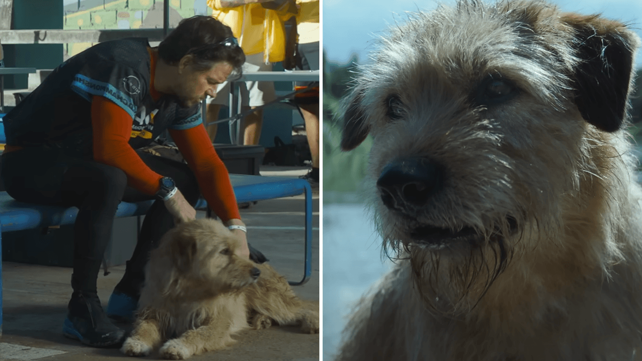 La película ‘Arthur: una amistad sin límites’ está basada en una conmovedora historia real