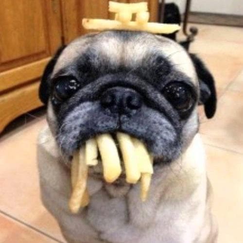 Pese a todas las originales versiones, las tradicionales quizás seguirán siendo las favoritas de la mayoría.