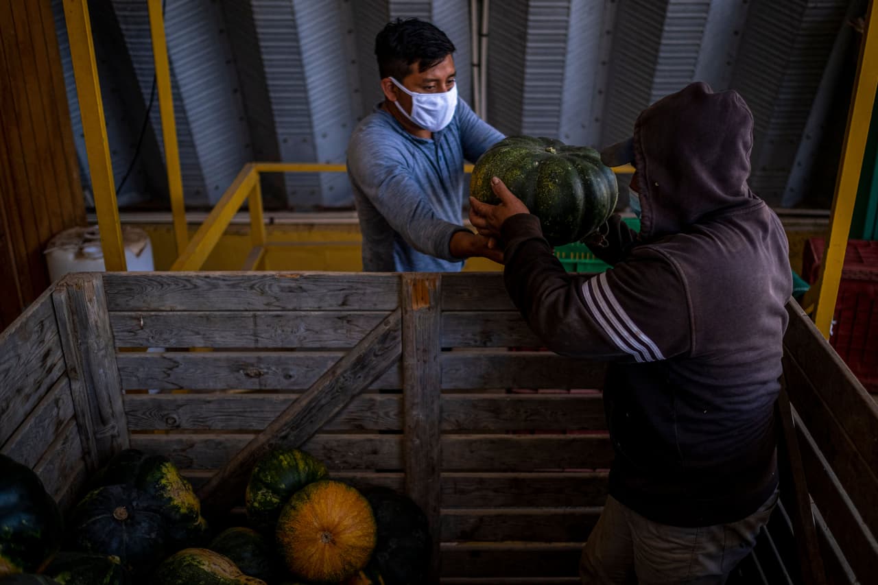 Héctor Cordero, presidente de la Asociación de Agricultores de Puerto Rico, comentó la semana pasada a la radio NotiUno 630AM que se necesitan mil a mil 500 braceros en la isla y que se está tramitando la llegada de un grupo de hondureños.
<br>