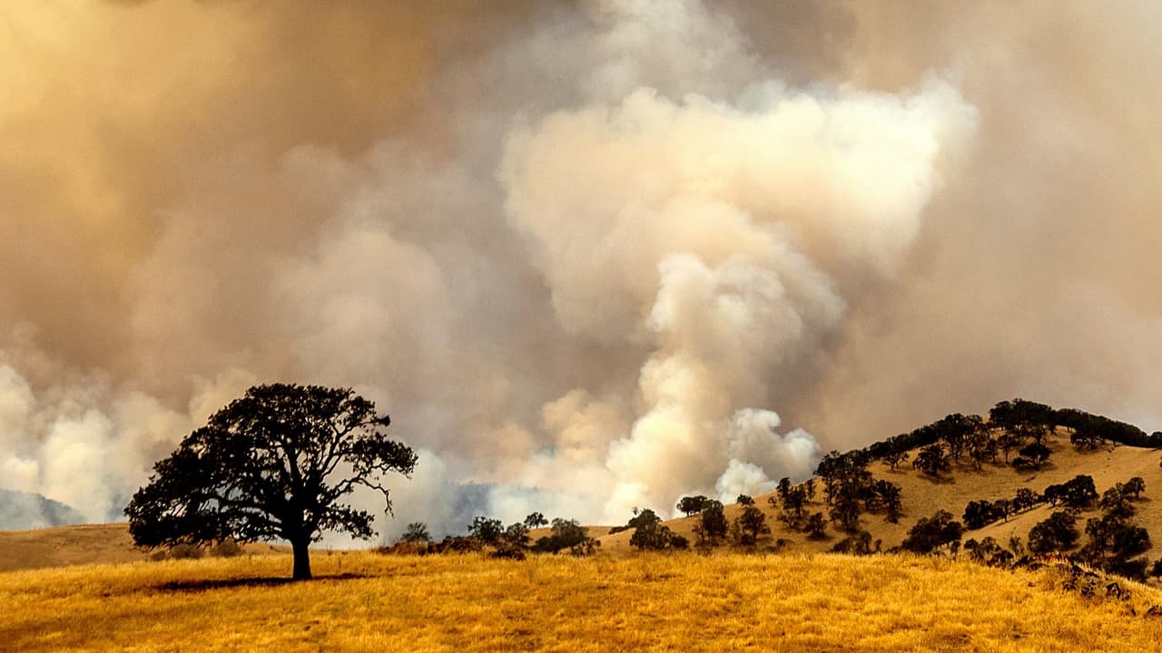 Ordenan evacuaciones obligatorias por incendios en el condado de Contra Costa en California