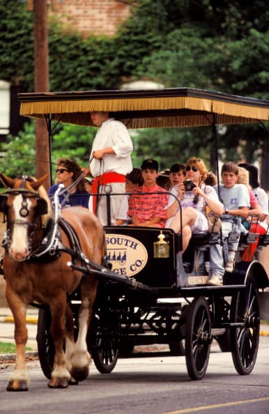<b>29.</b>
<b>Carolina del Sur.- </b>Este lugar ofrece 301 kilómetros de costa perfecta. Las familias tienden a congregarse en Hilton Head Island, que cuenta con una gran abundancia de senderos para bicicletas y relajantes playas. Sin embargo, consiguió poco más de 50 puntos de 100 en el estudio, debido a que los residentes consideran que no tienen las mejores condiciones físicas y sufren problemas emocionales, que pueden ir desde malas experiencias cuando fueron niño, depresión o incluso falta de sueño que afecta a sus vidas.
<br>