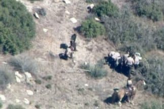 Video aptado por el helicóptero de la estación de televisión local NBC4.