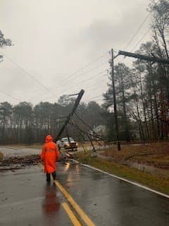 En las imágenes se ven árboles caídos sobre el tendido eléctrico.