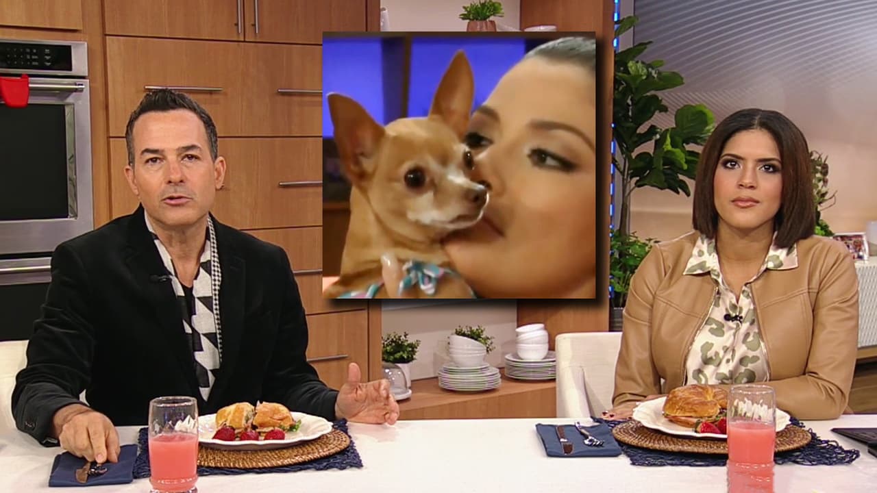 "Se nos fue al cielo": Francisca recordó como la perrita de Ana Patricia fue una consentida de Despierta América