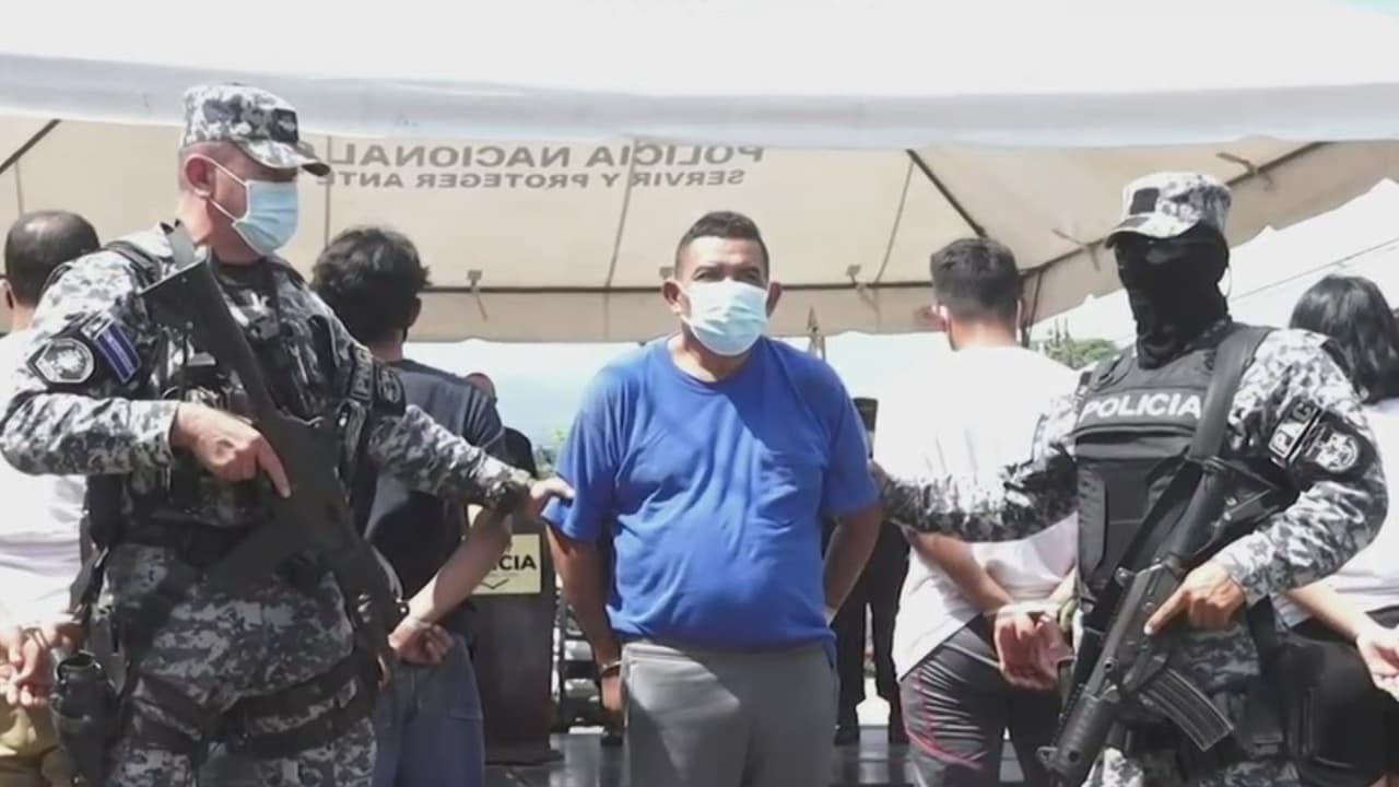 <b>Hallan más de una decena de cadáveres en casa de expolicía, presunto asesino en serie.</b>
<br>
<br>Las autoridades en El Salvador creen que puede haber más de 30 cuerpos; incluso, el de una niña de 7 años. El ministro de Seguridad de ese país, Gustavo Villatoro, aseguró que el arrestado tenía un problema de "desviaciones sexuales". El hombre fue identificado como Hugo Osorio, un expolicía.