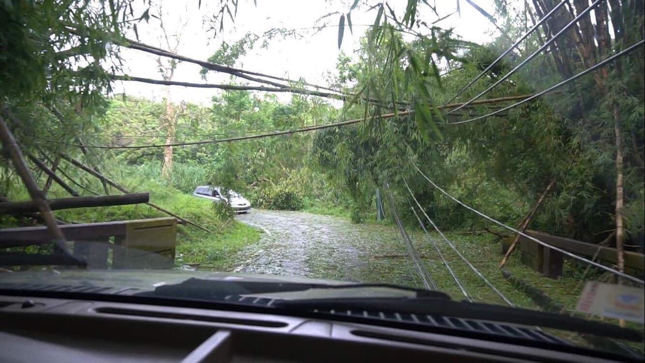 Un usuario de Univision, Christian Maysonet, nos envió esta foto desde Las Piedras.