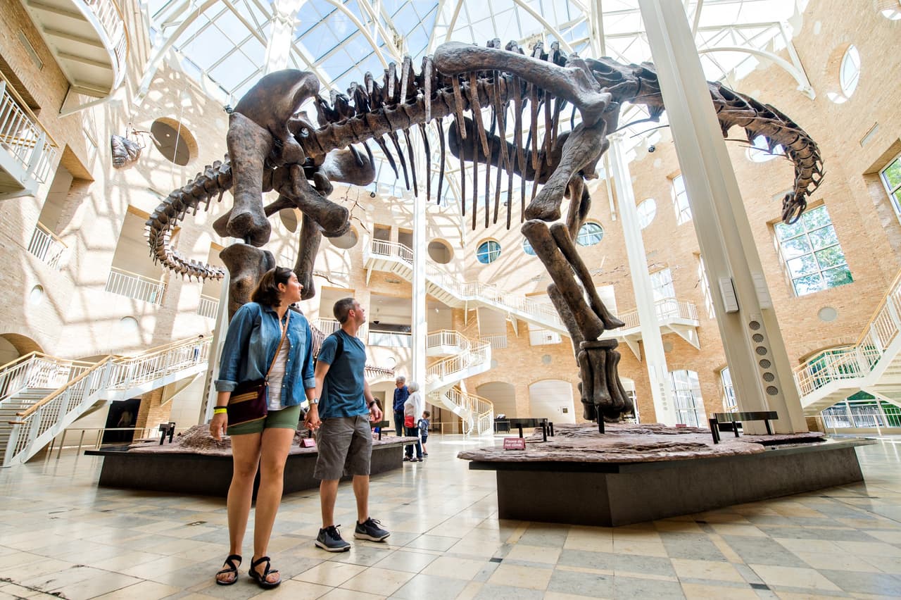 <b><a href="https://www.fernbankmuseum.org/">Fernbank Museum Of Natural History</a></b>. En el museo se da vida a los dinosaurios más grandes del mundo y explora las culturas globales a través de exhibiciones prácticas. Explora los registros fósiles, asiste a un espectáculo en el Teatro IMAX o disfruta de la vista del bosque de frondosas.