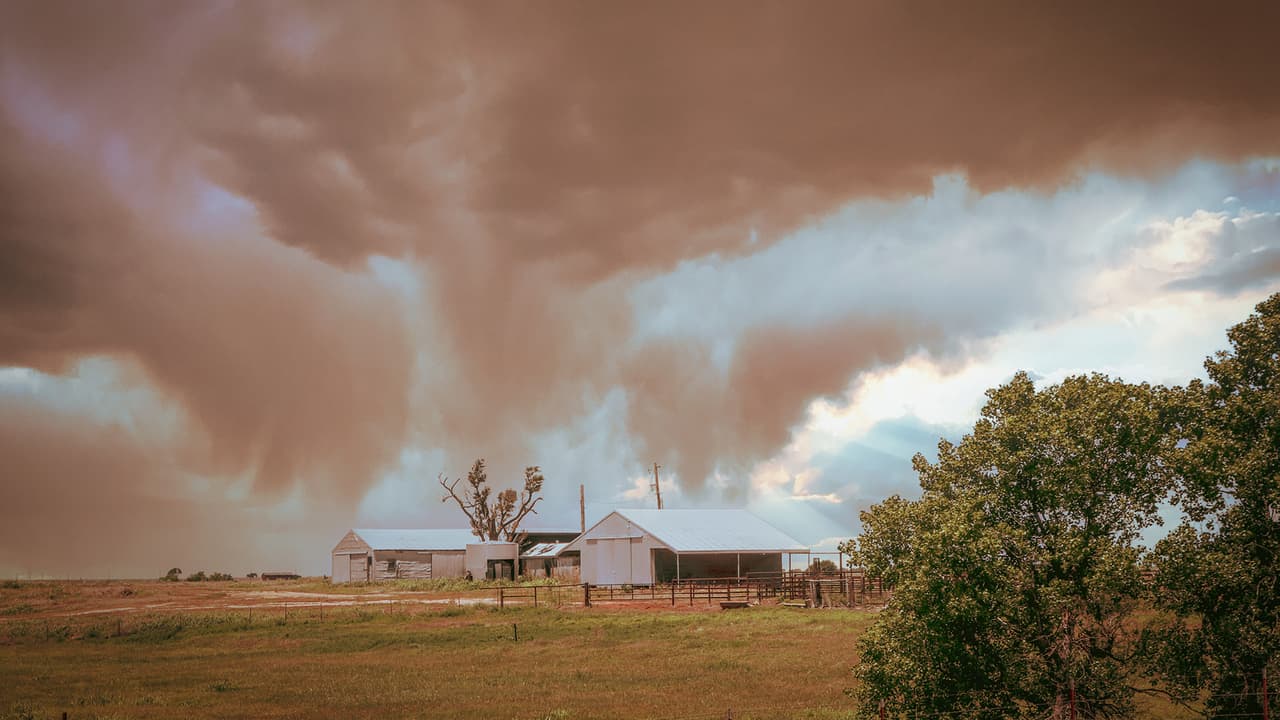 <b>Después de la tormenta</b>
<br>Siga las instrucciones del Servicio Meteorológico Nacional (NWS) sobre condiciones peligrosas adicionales que pueden esperarse. Si salió del camino en su vehículo, regrese de forma segura al asfalto.
