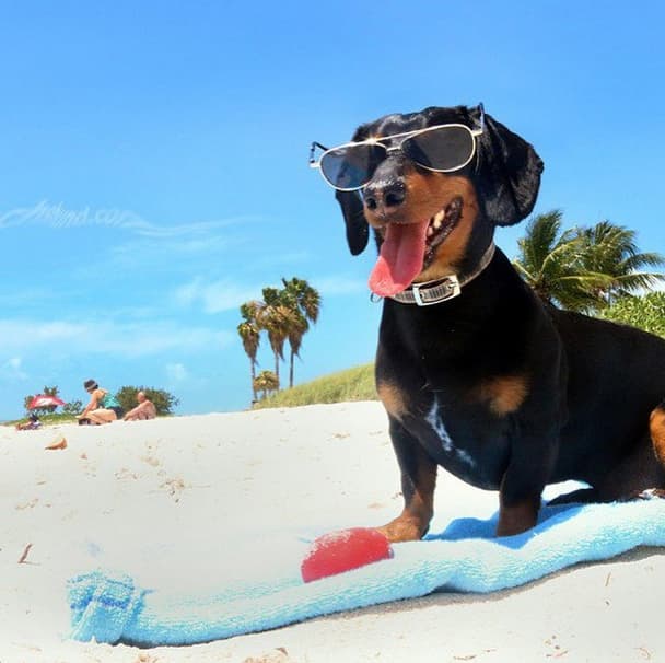 Las vacaciones están por llegar.