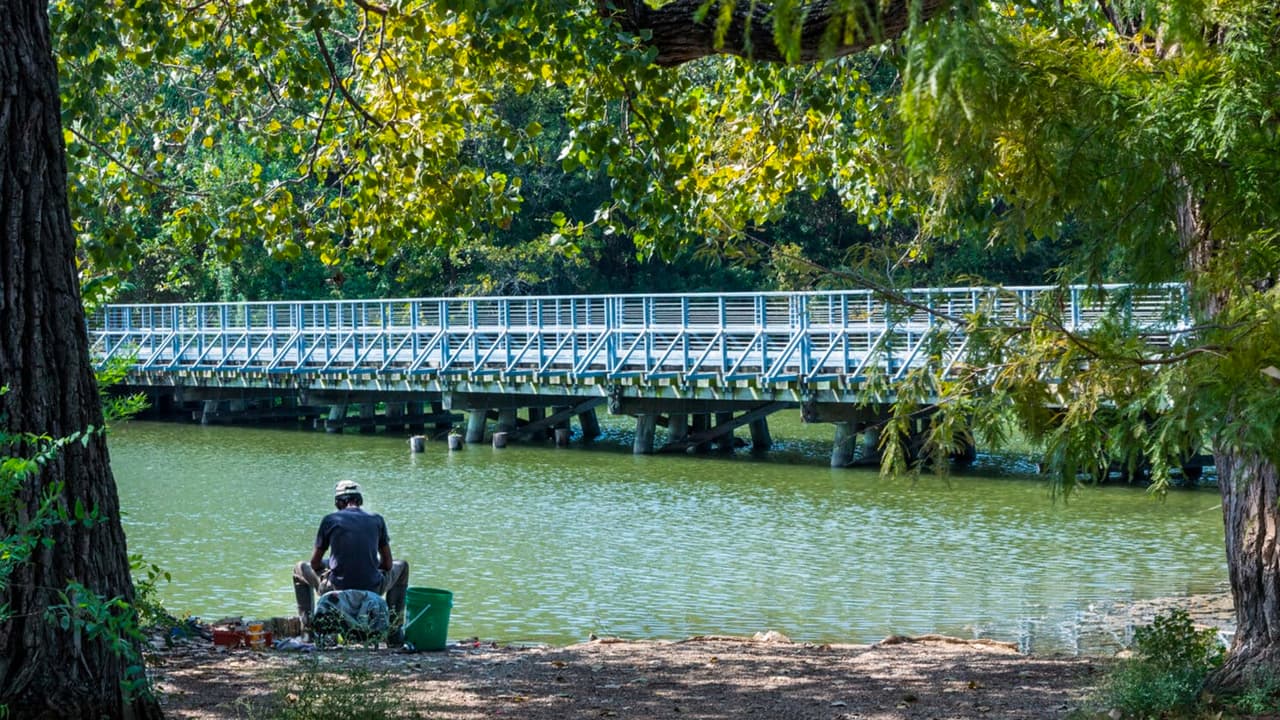 <b>White Rock Lake Trail: </b>Longitud: 
<b>9.4 millas (16 kilómetros)</b>. Se trata de un sendero a través de Dallas, en parte rodea parte del lago White Rock. Cuenta con un parque para las mascotas e increíbles vistas del centro de la ciudad. Algunas personas han comentado que es el lugar ideal para ver el atardecer.