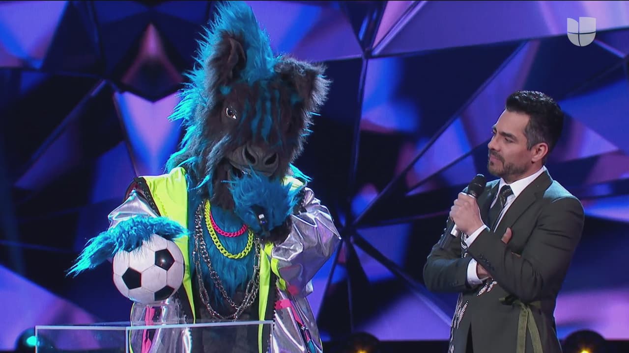 Posterior a su interpretación, Cebra presentó un objeto, el cual sería la pista física para que el panel de investigadores tuviera más elementos para adivinar su identidad.